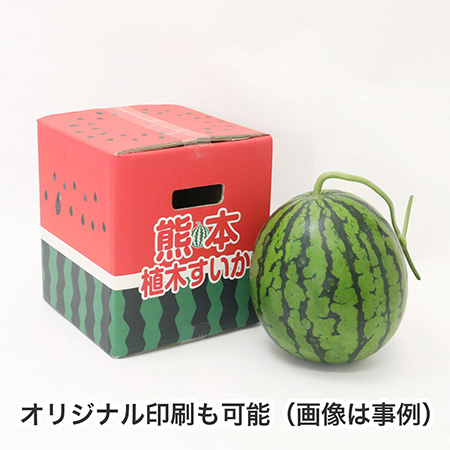 大玉スイカ発送用ダンボール箱 手穴付き-13