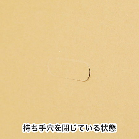 大玉スイカ発送用ダンボール箱 手穴付き-9