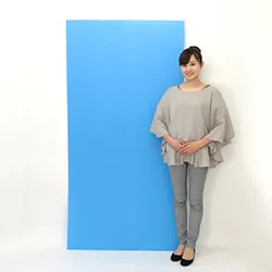 プラダンシート(3mm厚/400g)【三六判】ブルー