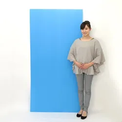 プラダンシート(4mm厚/600g)【三六判】ブルー