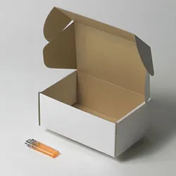 小型爬虫類飼育ケース梱包用ダンボール箱 | 198×130×85mmでN式額縁タイプの箱