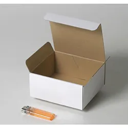 レモン絞り器梱包用ダンボール箱 | 140×120×60mmでN式差込タイプの箱