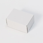 インバーター梱包用ダンボール箱 | 140×100×70mmでN式額縁タイプの箱 1