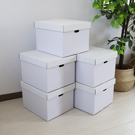 エコバンカーケース(白)-4