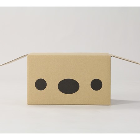 宅配60ハコイヌ箱-4