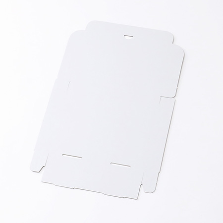 DVD2枚入りサイズ(白)-8