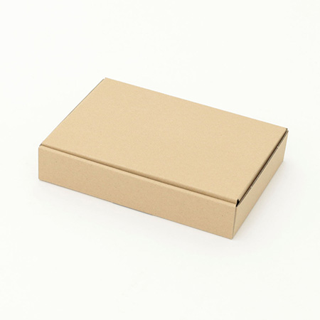 定形外郵便用ダンボール箱【B6】(規格外サイズ)-3