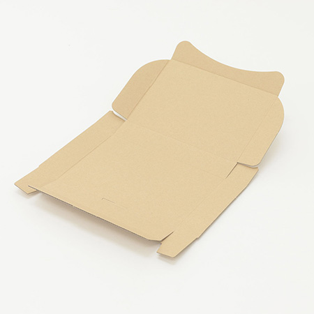 定形外郵便用ダンボール箱【B6】(規格外サイズ)-5
