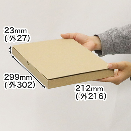 レターパックプラス、レターパックライトサイズのダンボール箱 | 厚みをキープして中身を保護できる　10 枚