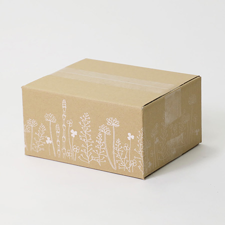 【宅配50サイズ】デザインダンボール箱(花さんぽ)-2