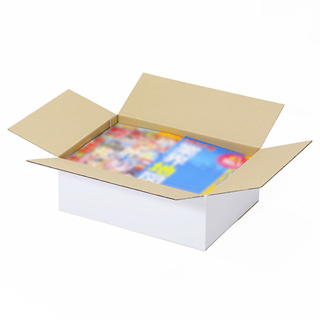 【宅配80サイズ】定番ダンボール箱(B4・白)-4