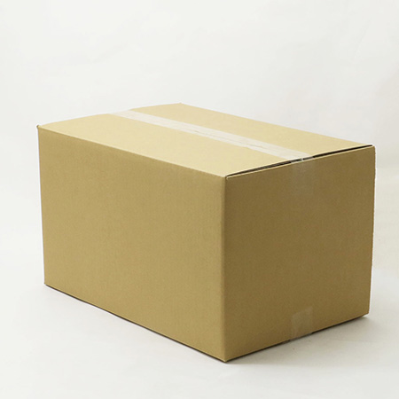 【宅配120】引越し用・梱包発送用 L(5枚)-3