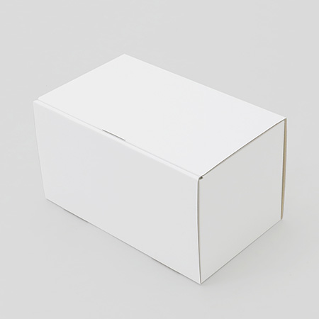 宅配伝票ピッタリ箱50サイズ(組立式) ホワイト-2