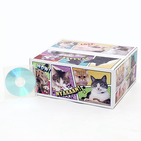 【宅配80サイズ】全面“猫だらけ”のアメコミ風デザインダンボール箱 