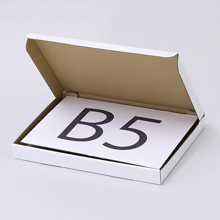 【B5/厚さ3cm/表面白】ネコポス新規格対応ダンボール箱-2