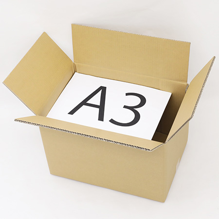 PUDO(宅配便ロッカー)用ダンボール箱(Lサイズ)-3