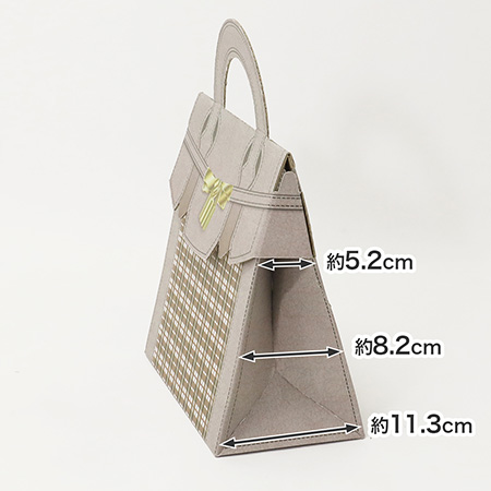 エルッチ バック ボックス(レザー調)-4