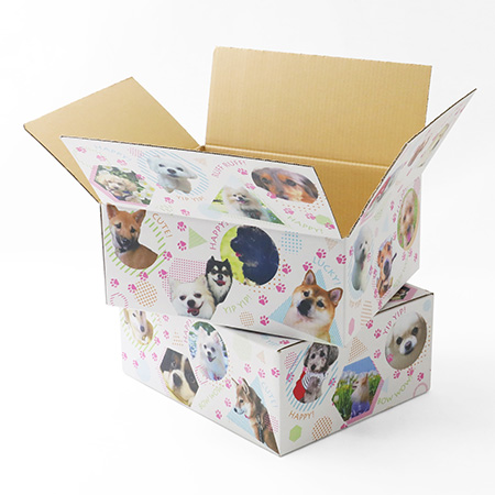 ダンボールワンダフル-2