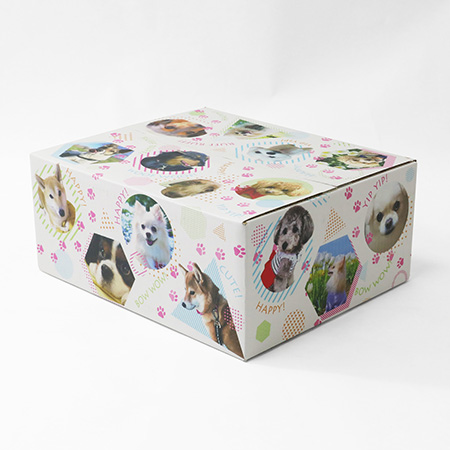 ダンボールワンダフル-3