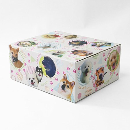 ダンボールワンダフル-4