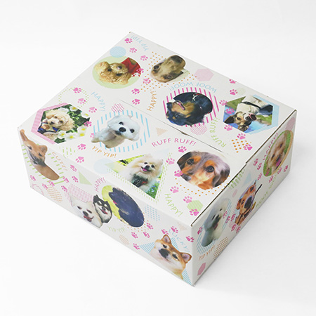 ダンボールワンダフル-5