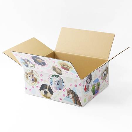 ダンボールワンダフル-6