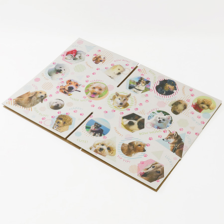 ダンボールワンダフル-7