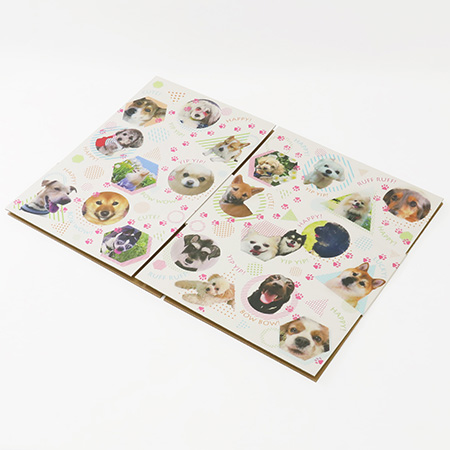 ダンボールワンダフル-8