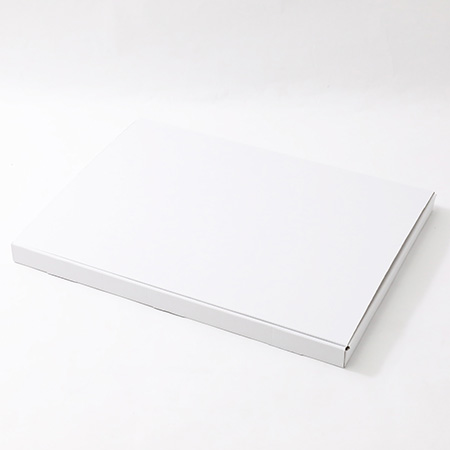 【宅配80サイズ】薄型ダンボール箱 A3サイズ対応 深さ25mm (白)-5