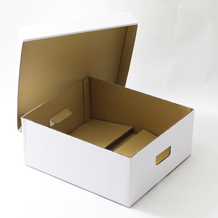 エコバンカーケース浅型(白)-2