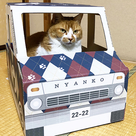 ダンボール製 ねこ専用トラック(アーガイル柄)-7