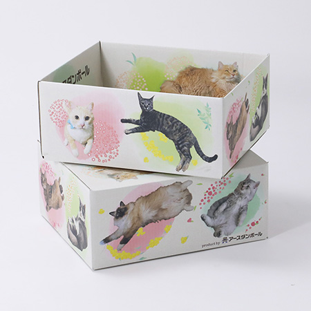 猫ギフトボックス 【猫だらけ】Ver.2-3