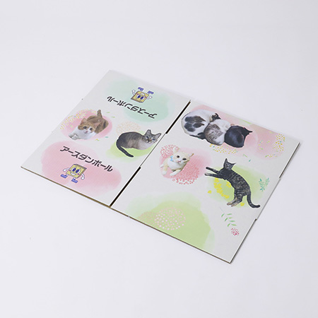 猫ギフトボックス 【猫だらけ】Ver.2-5