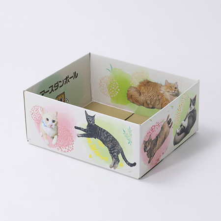 猫ギフトボックス 【猫だらけ】Ver.2-6