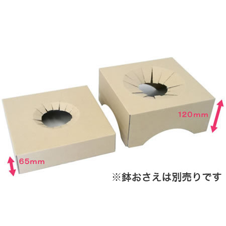 【宅配120サイズ】観葉植物・フラワーボックス 縦開きタイプ-4