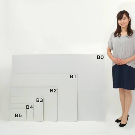 ダンボールシート(白)【B2】-2