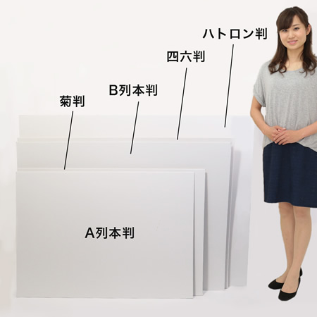 ダンボールシート(白)【菊判】-2