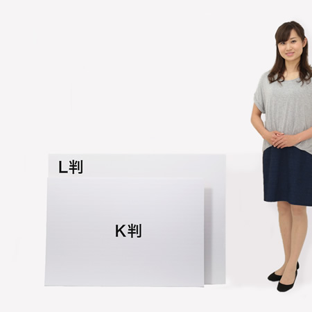 ダンボールシート(白)【板紙/K判】-2