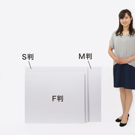 ダンボールシート(白)【板紙/F判】-2