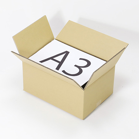 【Nメロン】パルプモールド用ダンボール-2