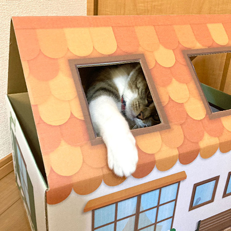 三角屋根の猫の家(オレンジ)-8