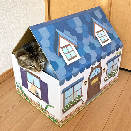 三角屋根の猫の家(青)-7