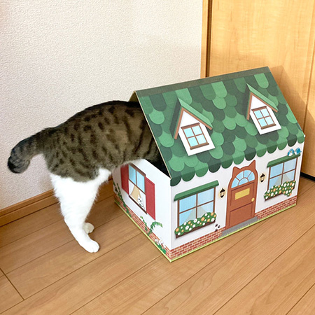 三角屋根の猫の家(緑)-7