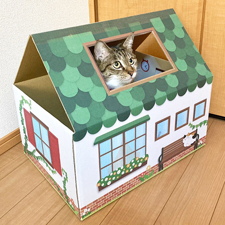 三角屋根の猫の家(緑)-8