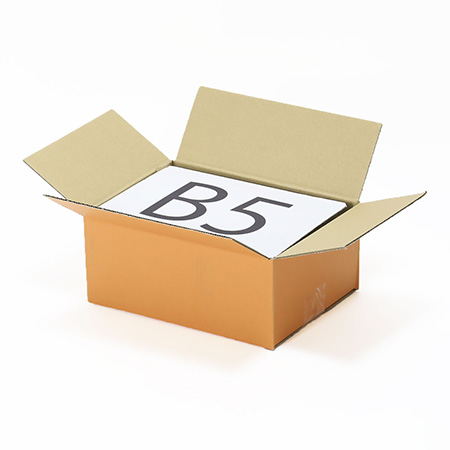 【宅配60サイズ】オレンジダンボール箱 B5対応-2