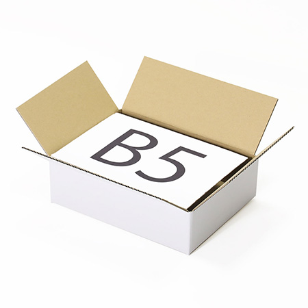 宅配60ダンボール箱 コンパクトタイプ(白)-2