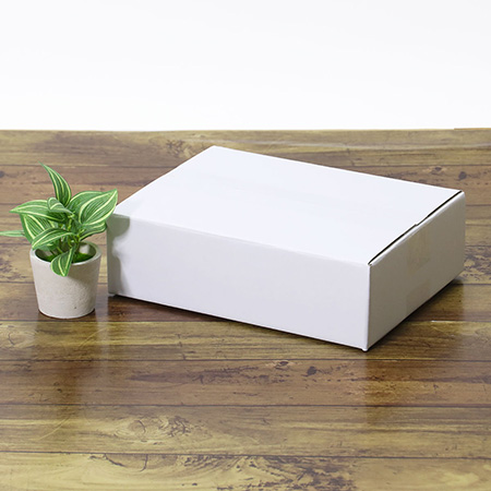 宅配60ダンボール箱 コンパクトタイプ(白)-7