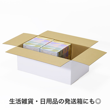 【宅配120サイズ】アパレル発送用ダンボール箱(白)-4