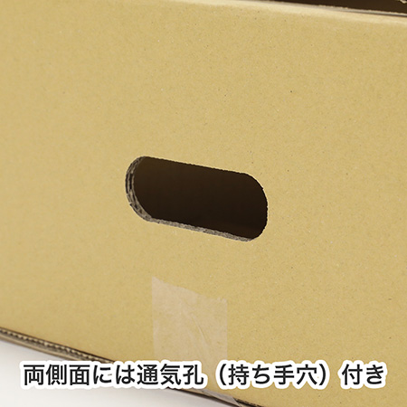 キャベツ10kg用ダンボール-5