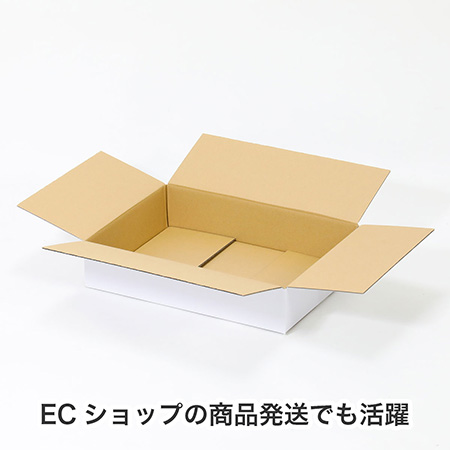 【宅配80サイズ】B4用紙対応 浅型ダンボール箱(白)-4